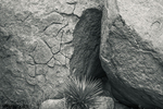 Fortification