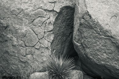 Fortification