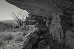 Outlook