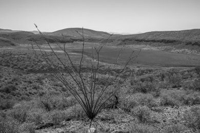 Cratered