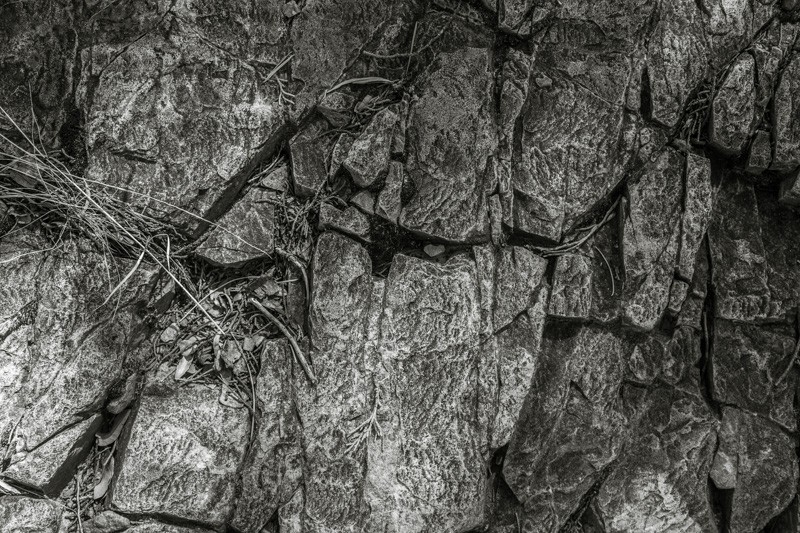 A blocky rock with an organic-appearing texture in its surface.