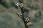 Unfolding