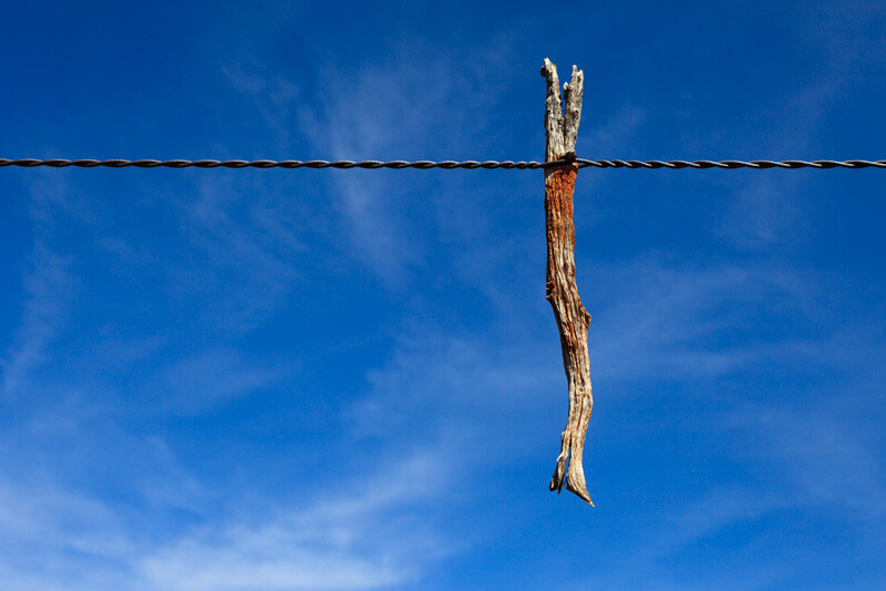 A branch used to tighten wires holding the top of a Forest Service gate together.